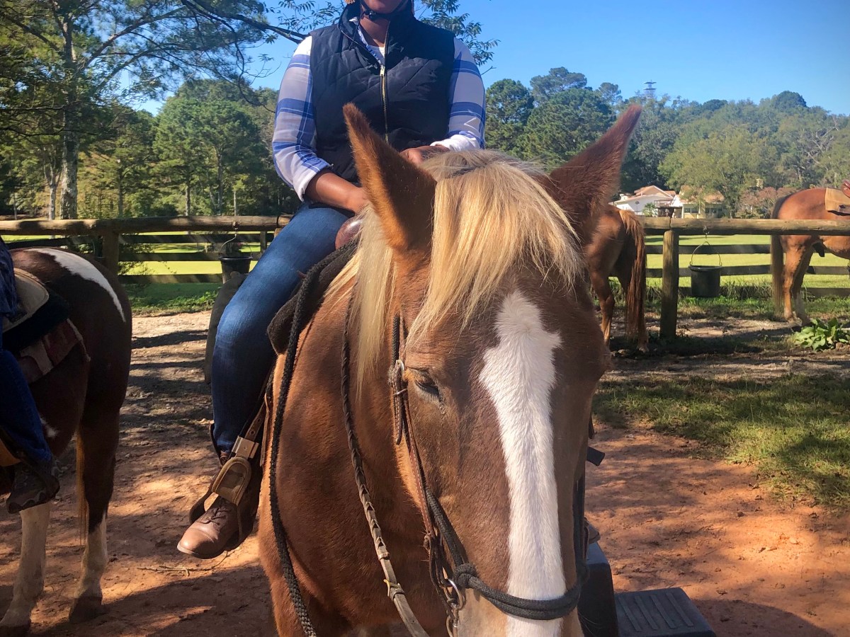Horseback Riding For Black&nbsp;Women